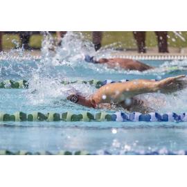 Australian Winter Swimming Titles Maroochydore 2025