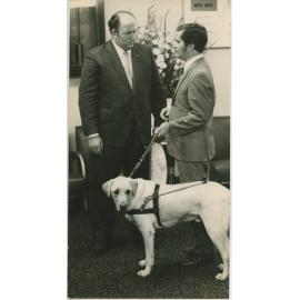 Sanned Archived Images