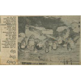 Scanned Archived Images