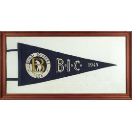 Old framed photographs