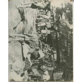 Scanned Archived Images