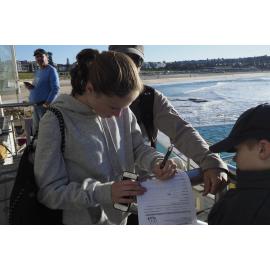 Icecubes Open Day 20.05.2018