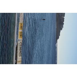 Icecubes Open Day 20.05.2018