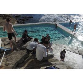 Icecubes Open Day 20.05.2018