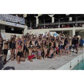 Icecubes Open Day 20.05.2018