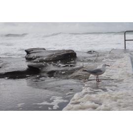 Ladies away swim 03.06.2018