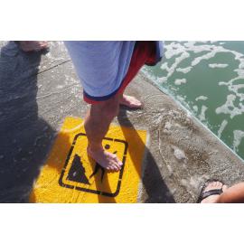 Ladies away swim 03.06.2018