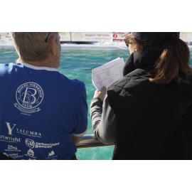 Southern Metropolitan 2018