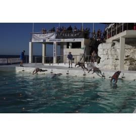 Southern Metropolitan 2018