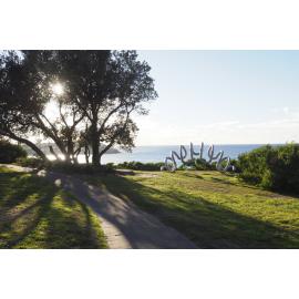 City to Surf Day 2018