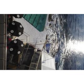 City to Surf Day 2018