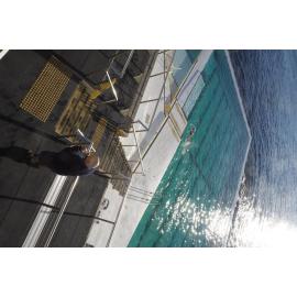 City to Surf Day 2018