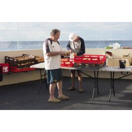 City to Surf Day 2018