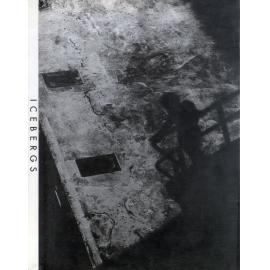 BIC Brett M Cochrane "Icebergs"