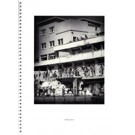 BIC Brett M Cochrane "Icebergs"