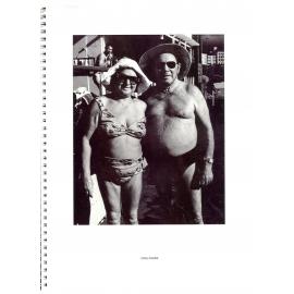 BIC Brett M Cochrane "Icebergs"