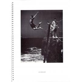 BIC Brett M Cochrane "Icebergs"