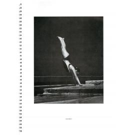 BIC Brett M Cochrane "Icebergs"