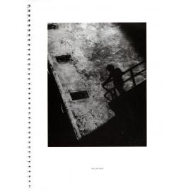 BIC Brett M Cochrane "Icebergs"