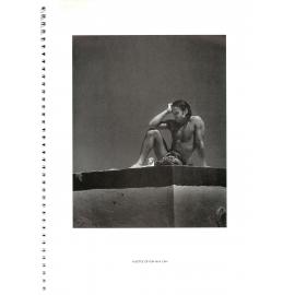 BIC Brett M Cochrane "Icebergs"