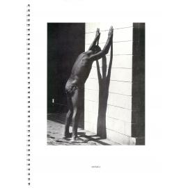 BIC Brett M Cochrane "Icebergs"