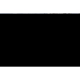 BIC Closing Day 30.09.2018