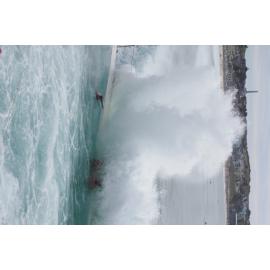 BIC Captains Day 25.11.2018