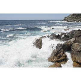 BIC Captains Day 25.11.2018