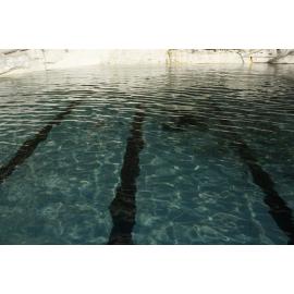 BIC_Deck Day_25.06.2017-82