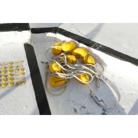 BIC_Deck Day_25.06.2017-85