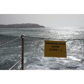 BIC Chicken Swim 16.11.2018