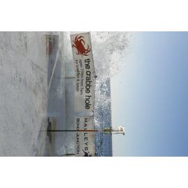 BIC_Deck Day_25.06.2017-99