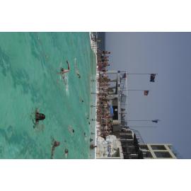 BIC Chicken Swim 16.11.2018