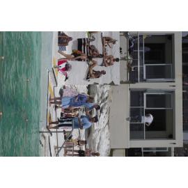 BIC Chicken Swim 16.11.2018