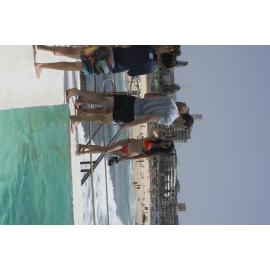 BIC Chicken Swim 16.11.2018