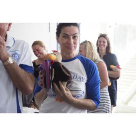 BIC Chicken Swim 16.11.2018