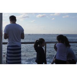 Icecubes Opening Day 2019