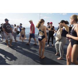 Icecubes Opening Day 2019