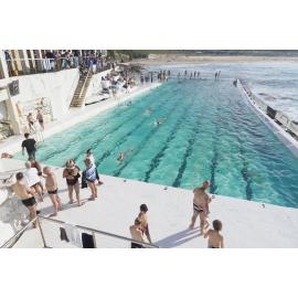 Icecubes Opening Day 2019