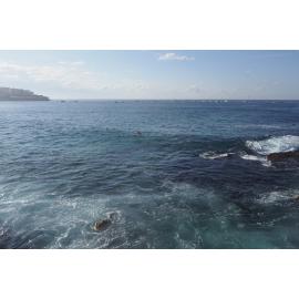 Icecubes Opening Day 2019