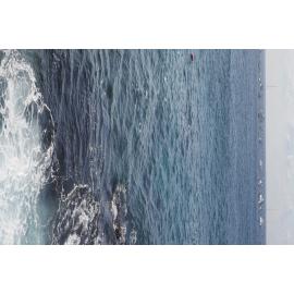 Icecubes Opening Day 2019