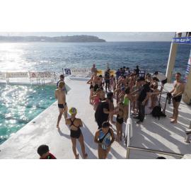 Icecubes Opening Day 2019