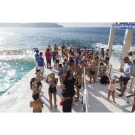 Icecubes Opening Day 2019