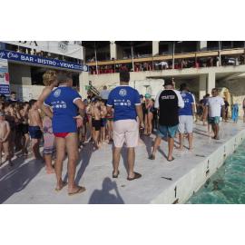 Icecubes Opening Day 2019