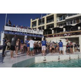 Icecubes Opening Day 2019