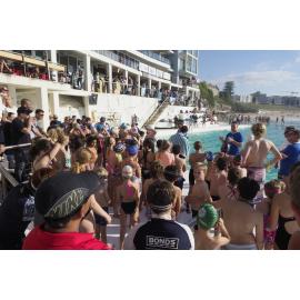 Icecubes Opening Day 2019