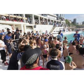 Icecubes Opening Day 2019