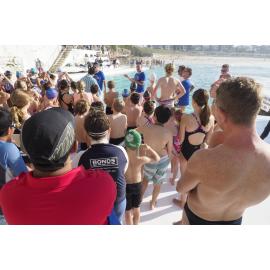 Icecubes Opening Day 2019