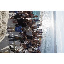 Icecubes Opening Day 2019