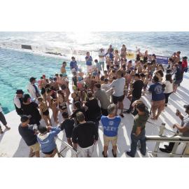 Icecubes Opening Day 2019